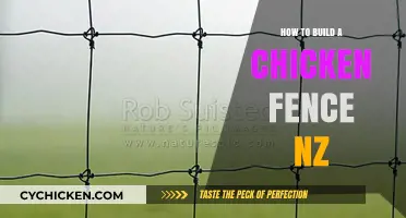 Building a Secure Chicken Fence in New Zealand: A Step-by-Step Guide