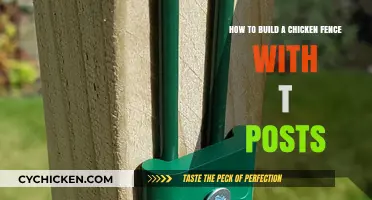 Building a Chicken Fence: T-Posts Guide