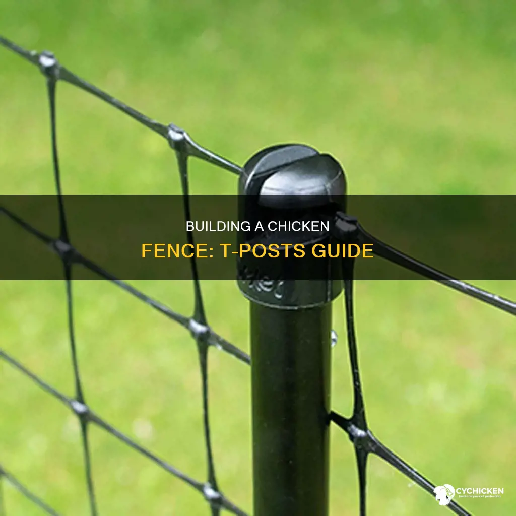 how to build a chicken fence with t posts