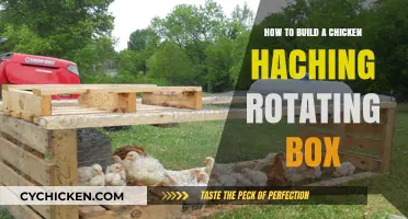 Building a Rotating Chicken Hatching Box: DIY Guide