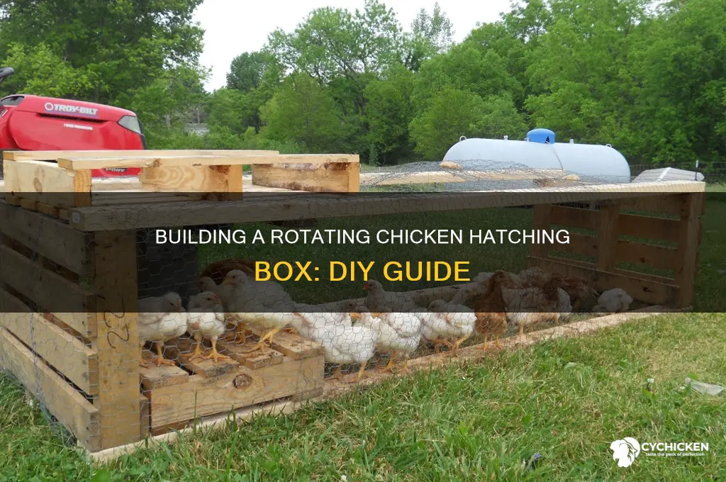 how to build a chicken haching rotating box