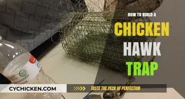 Effective DIY Chicken Hawk Trap: Protect Your Flock with These Steps