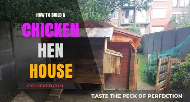 DIY Chicken Hen House: Step-by-Step Guide to Building a Cozy Coop