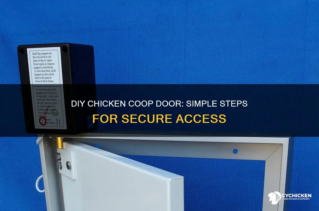 how to build a chicken house door