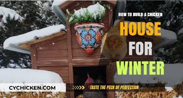 Building a Winter Chicken Coop: A Step-by-Step Guide