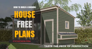 Constructing a Chicken Coop: Free DIY Plans