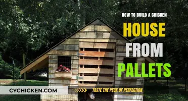 Building a Chicken Coop: Pallet Edition