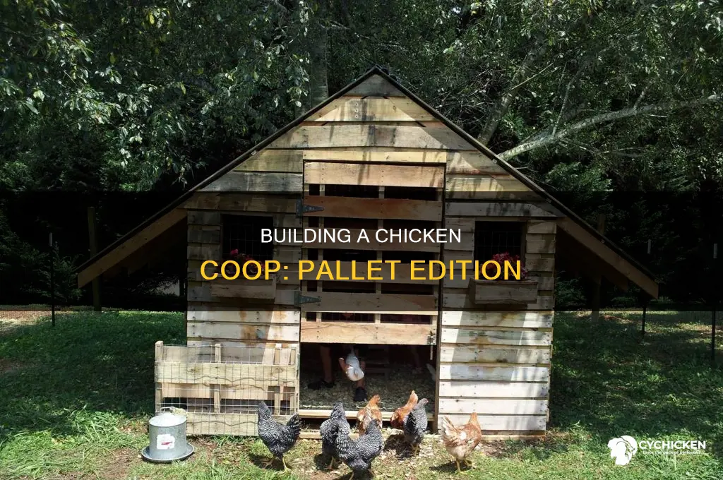 how to build a chicken house from pallets