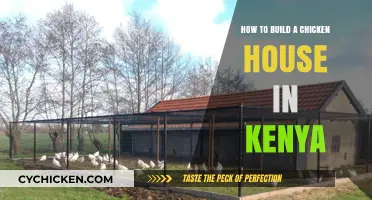 Constructing Coops: A Guide for Kenyan Chicken Farmers