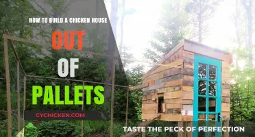 Constructing a Chicken Coop Using Pallets: A Step-by-Step Guide