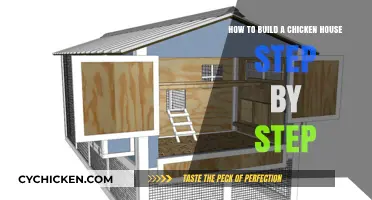 Constructing a Chicken Coop: Step-by-Step Guide