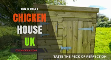 Building the Perfect UK Chicken House: A Step-by-Step Guide