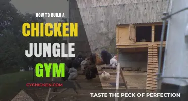 Create an Engaging Chicken Jungle Gym: DIY Guide for Happy Hens