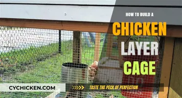 DIY Chicken Layer Cage: Step-by-Step Guide for Happy Hens