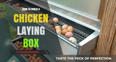 DIY Chicken Nesting Box: Simple Steps for Happy Egg-Laying Hens
