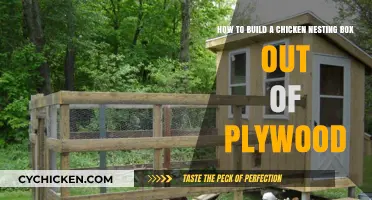 Constructing a Chicken Nesting Box from Plywood: A DIY Guide