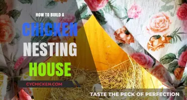 DIY Chicken Nesting House: Simple Steps for Happy Hens