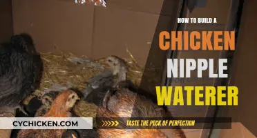 DIY Chicken Nipple Waterer: Easy Steps for Fresh Hydration