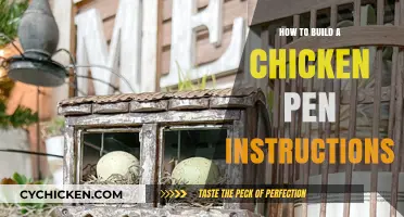 DIY Chicken Pen: Step-by-Step Guide to Building a Cozy Coop
