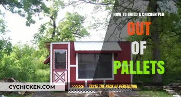 Building a Chicken Pen: Using Pallets to House Your Hens