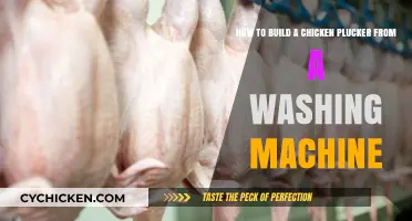 Transform Your Washing Machine into a Chicken Plucker