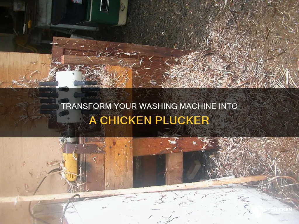 how to build a chicken plucker from a washing machine
