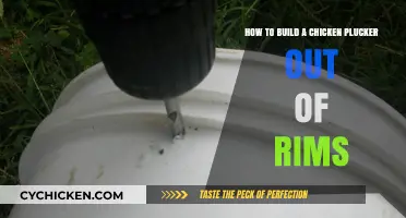 Building a Chicken Plucker: Using Old Rims for Efficiency