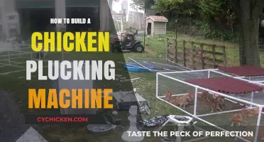 DIY Chicken Plucking Machine: Efficient Homemade Poultry Processing Guide