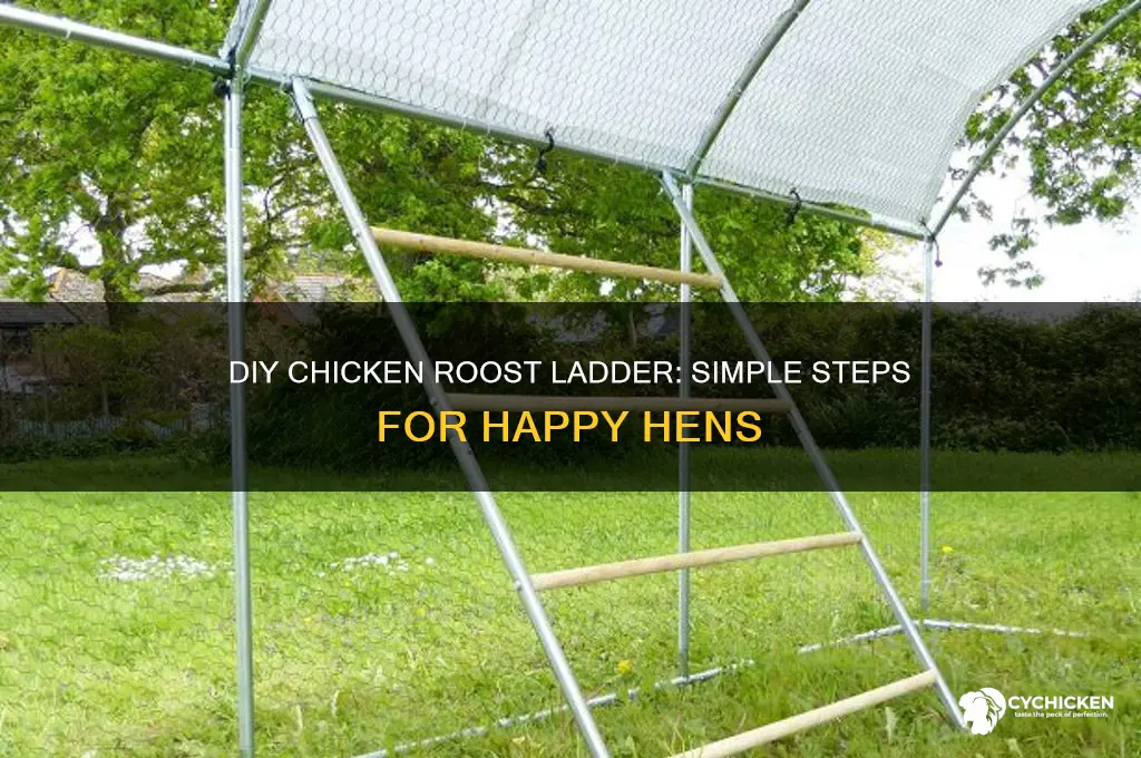 how to build a chicken roost ladder