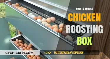 DIY Chicken Roosting Box: Simple Steps for Happy Hens