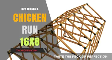 Building a Spacious 16x8 Chicken Run: Step-by-Step Guide
