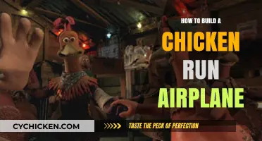 Crafting a Chicken Run Airplane: DIY Guide for Enthusiasts