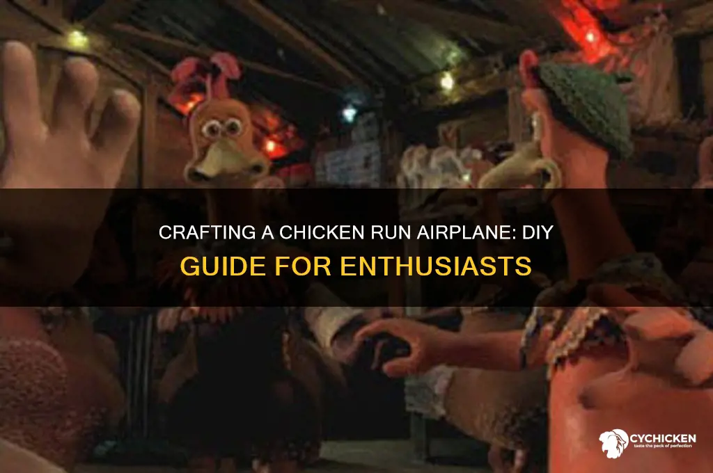 how to build a chicken run airplane