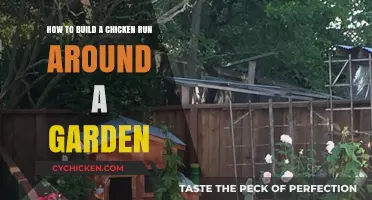 Constructing a Chicken Run: Garden Enclosure Ideas