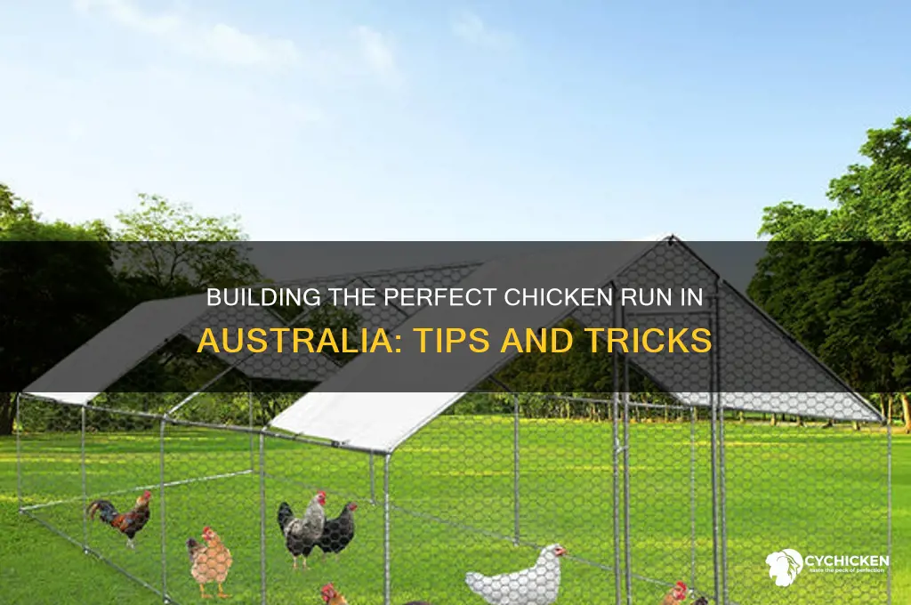 how to build a chicken run australia