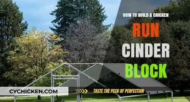 Building a Chicken Run with Cinder Blocks: DIY Guide