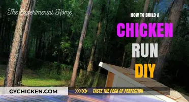 DIY Chicken Run: Easy Steps to Build Your Own Coop Extension