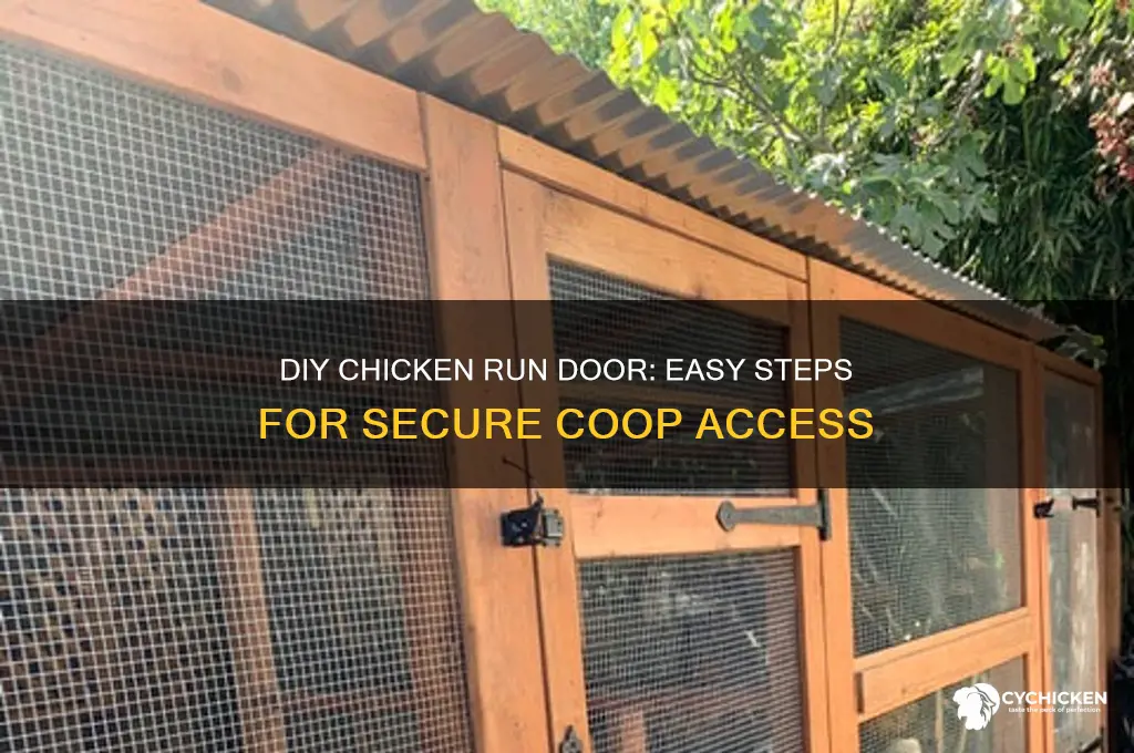 how to build a chicken run door