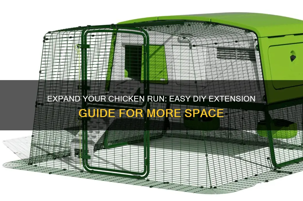 how to build a chicken run extension