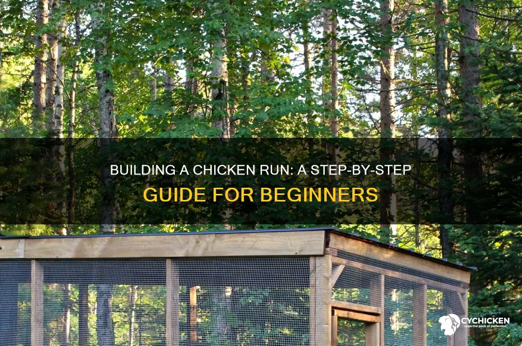 how to build a chicken run for dummies