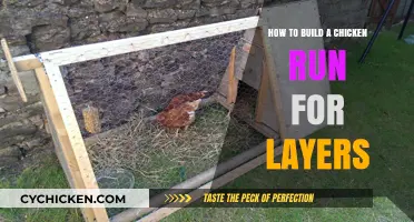Constructing a Safe Haven for Your Egg-Laying Chickens
