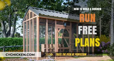 Building a Chicken Run: Free and Easy Plans