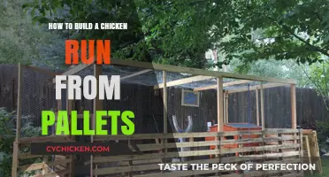 Building a Chicken Run: Using Pallets for Coop Construction