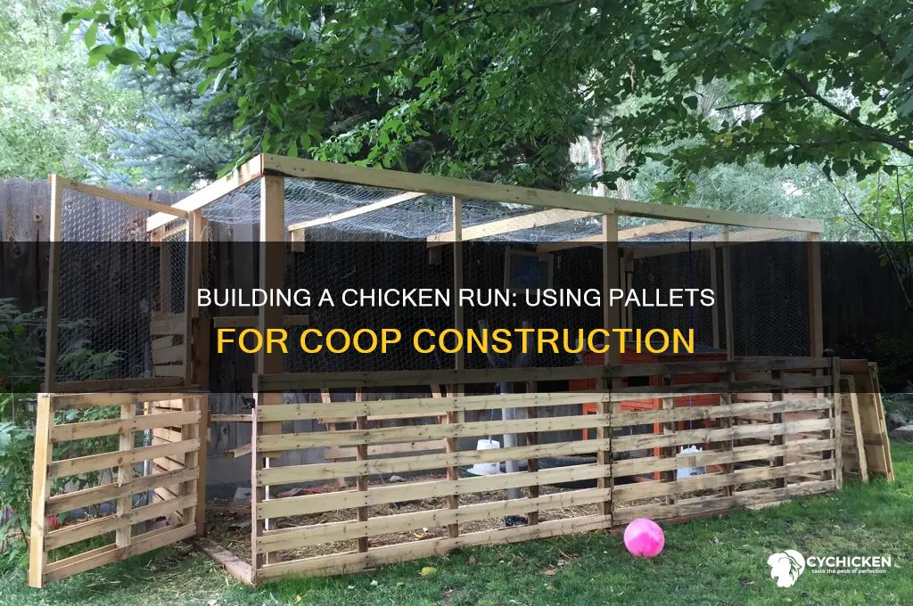 how to build a chicken run from pallets