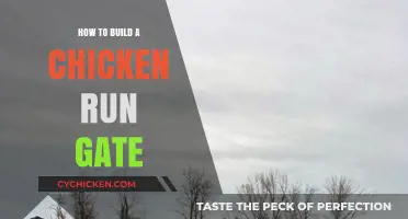 DIY Chicken Run Gate: Easy Steps for Secure Coop Access