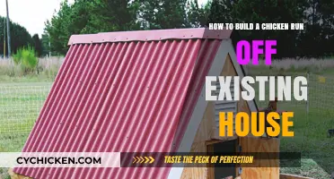 Building a Chicken Run: Utilizing Your House's Structure