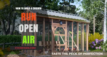 Constructing a Spacious Haven for Your Chickens