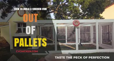 Constructing a Chicken Run Using Pallets: Easy Steps