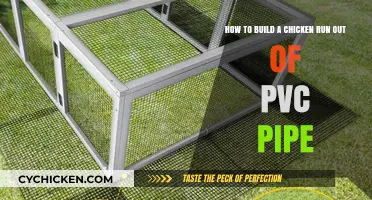 Constructing a Chicken Run: PVC Pipe Innovation
