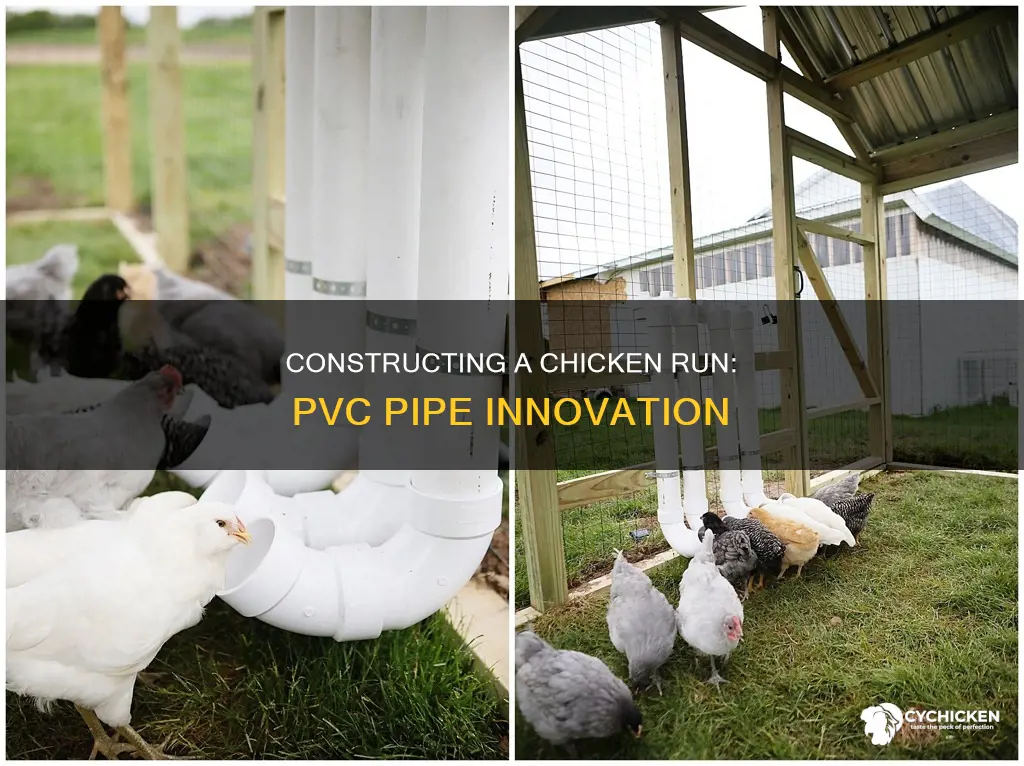 how to build a chicken run out of pvc pipe